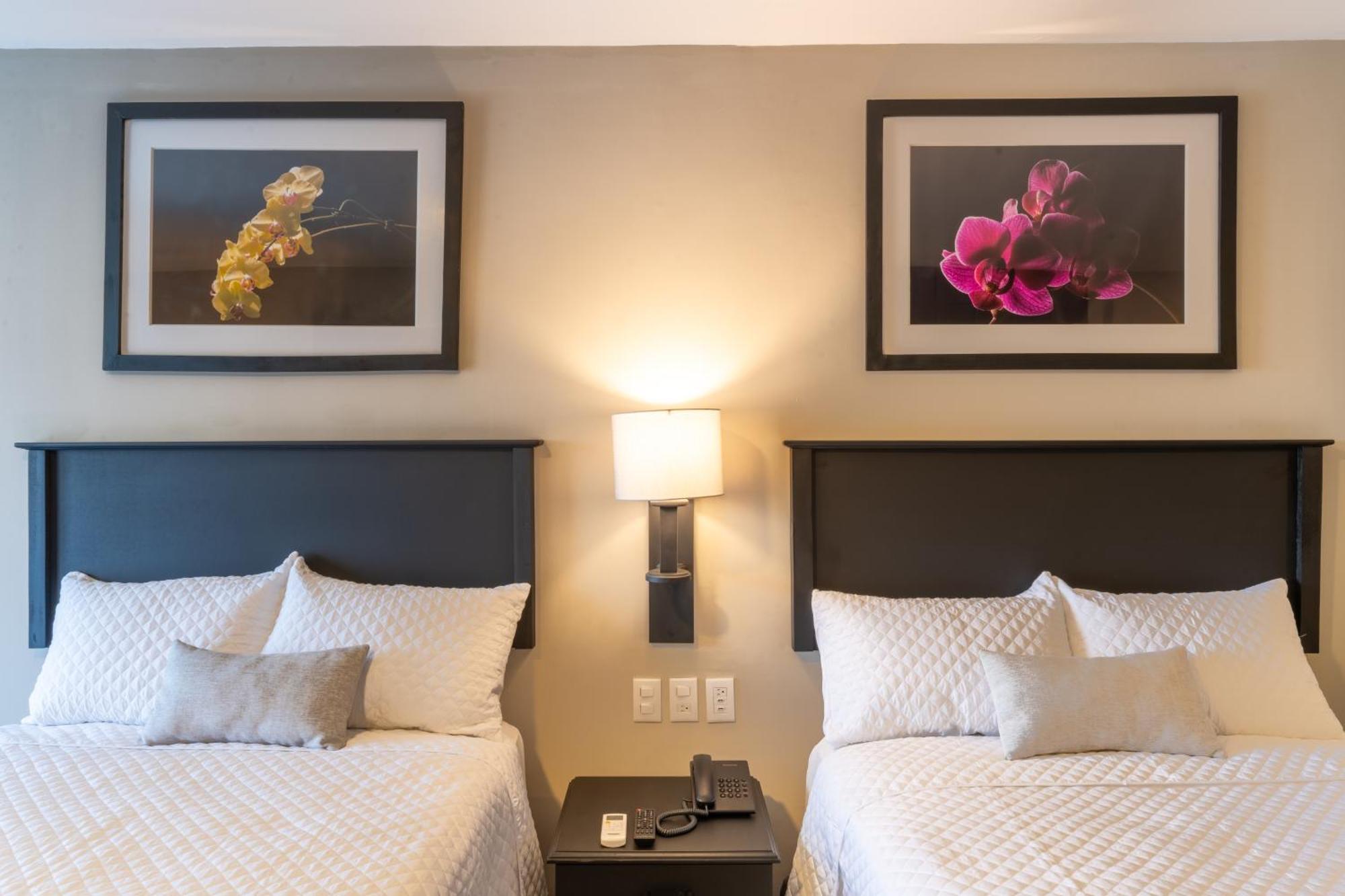 Conquistador Hotel & Conference Center Guatemala City Екстер'єр фото